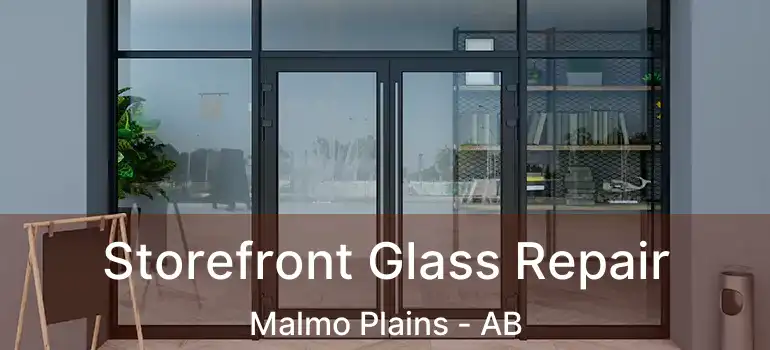  Storefront Glass Repair Malmo Plains - AB
