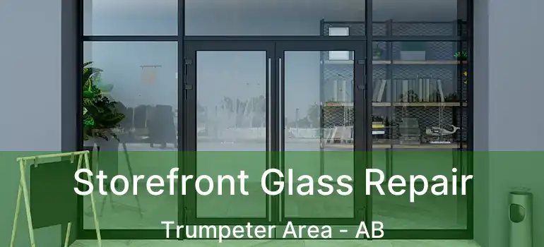  Storefront Glass Repair Trumpeter Area - AB
