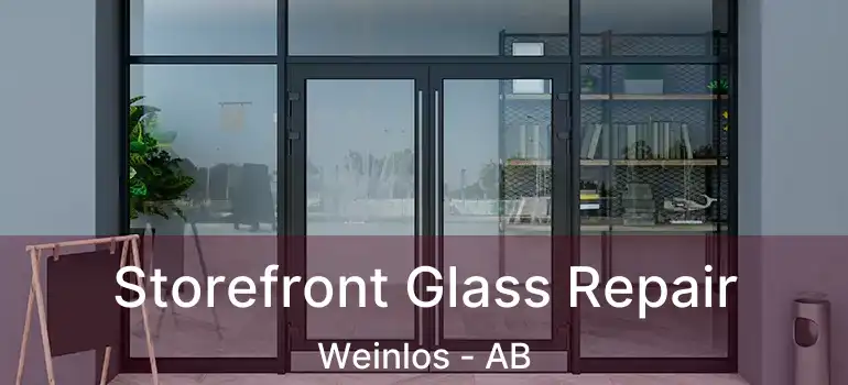  Storefront Glass Repair Weinlos - AB