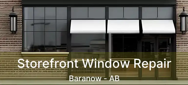  Storefront Window Repair Baranow - AB