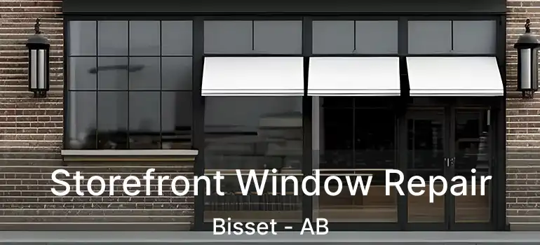  Storefront Window Repair Bisset - AB