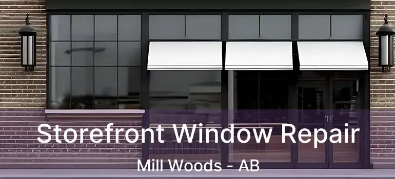  Storefront Window Repair Mill Woods - AB