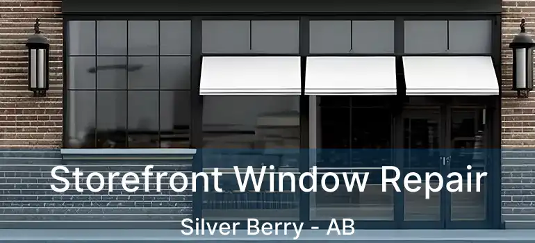  Storefront Window Repair Silver Berry - AB