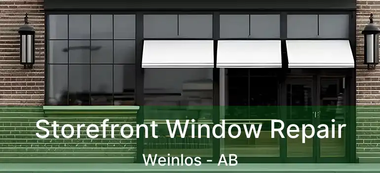  Storefront Window Repair Weinlos - AB