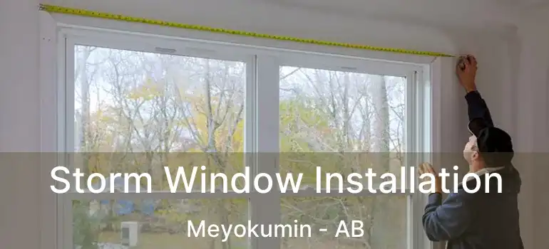  Storm Window Installation Meyokumin - AB