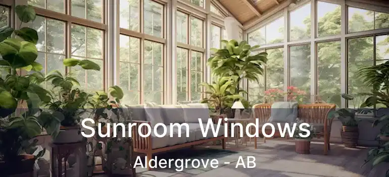 Sunroom Windows Aldergrove - AB