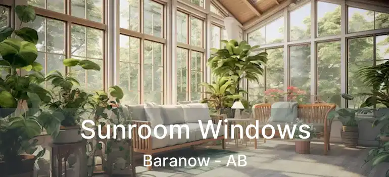  Sunroom Windows Baranow - AB