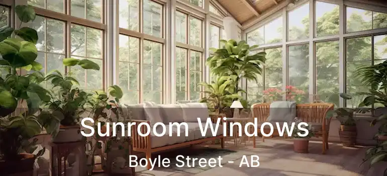  Sunroom Windows Boyle Street - AB