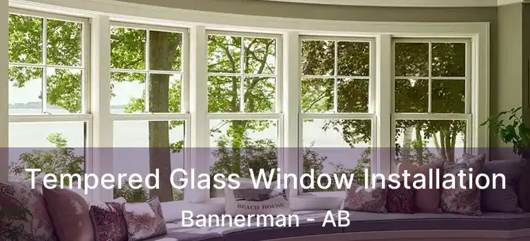  Tempered Glass Window Installation Bannerman - AB