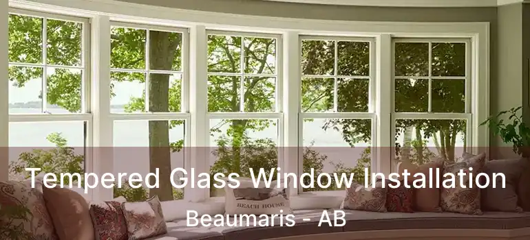  Tempered Glass Window Installation Beaumaris - AB