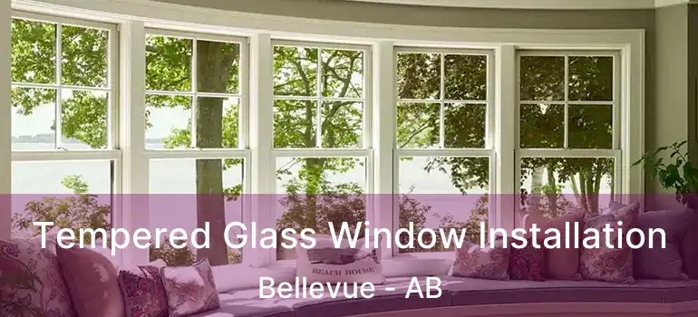  Tempered Glass Window Installation Bellevue - AB