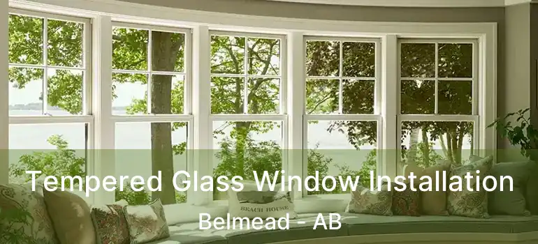  Tempered Glass Window Installation Belmead - AB