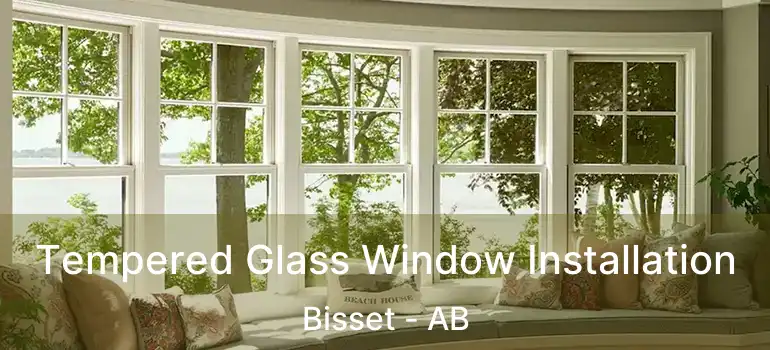  Tempered Glass Window Installation Bisset - AB