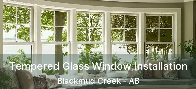  Tempered Glass Window Installation Blackmud Creek - AB