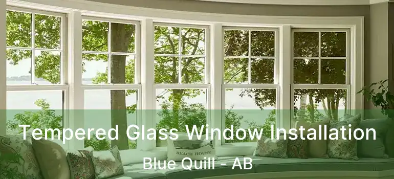  Tempered Glass Window Installation Blue Quill - AB