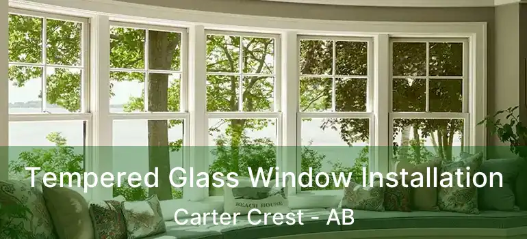  Tempered Glass Window Installation Carter Crest - AB
