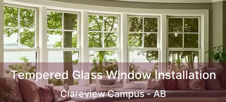  Tempered Glass Window Installation Clareview Campus - AB