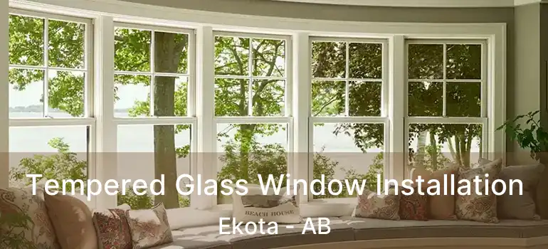  Tempered Glass Window Installation Ekota - AB