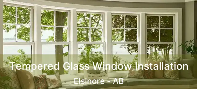  Tempered Glass Window Installation Elsinore - AB
