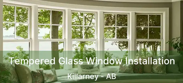  Tempered Glass Window Installation Killarney - AB