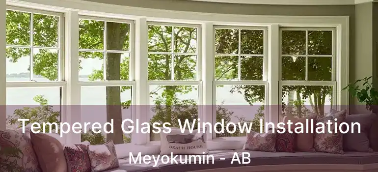  Tempered Glass Window Installation Meyokumin - AB