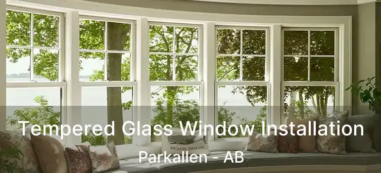  Tempered Glass Window Installation Parkallen - AB