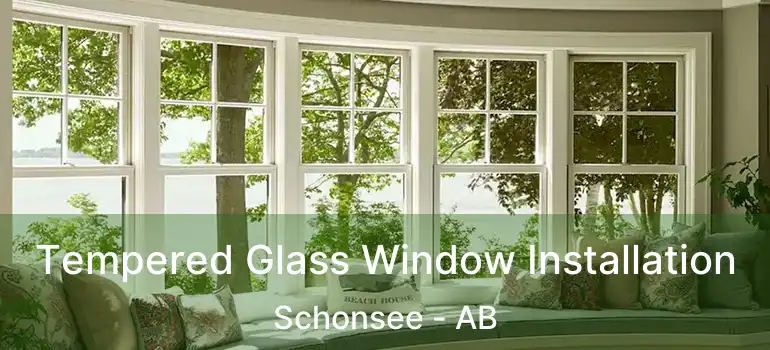  Tempered Glass Window Installation Schonsee - AB