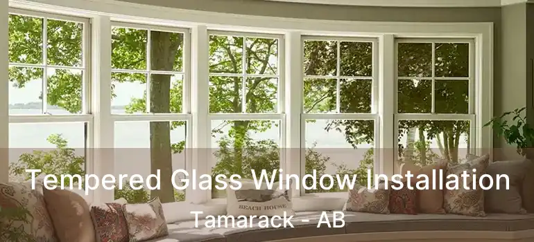  Tempered Glass Window Installation Tamarack - AB