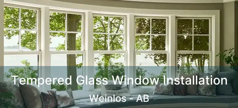 Tempered Glass Window Installation Weinlos - AB