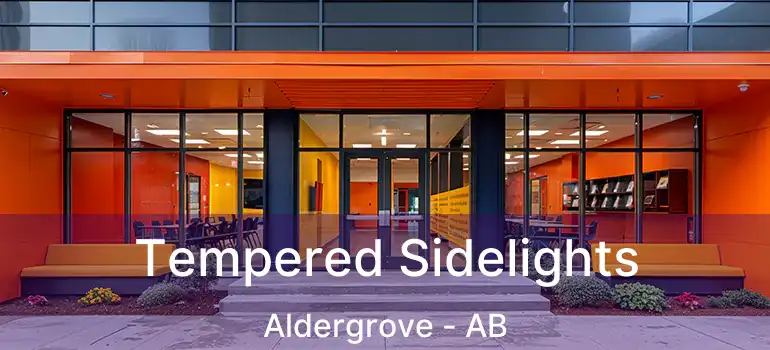 Tempered Sidelights Aldergrove - AB
