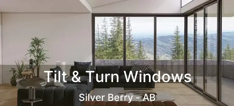  Tilt & Turn Windows Silver Berry - AB
