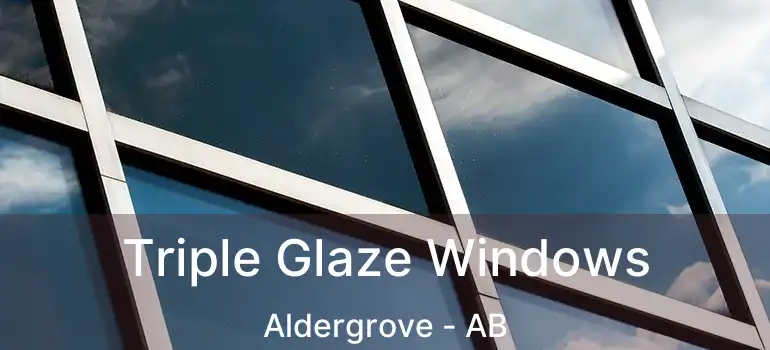  Triple Glaze Windows Aldergrove - AB