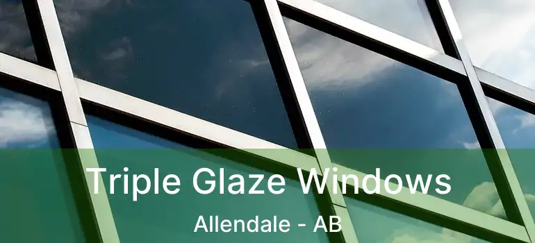  Triple Glaze Windows Allendale - AB