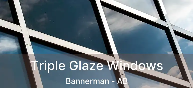  Triple Glaze Windows Bannerman - AB