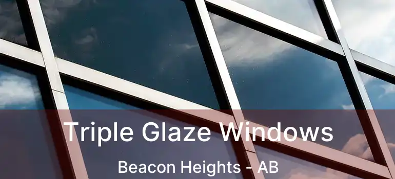  Triple Glaze Windows Beacon Heights - AB