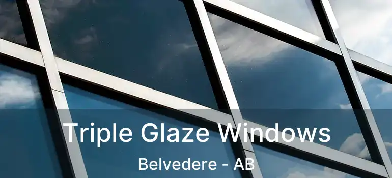  Triple Glaze Windows Belvedere - AB