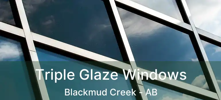  Triple Glaze Windows Blackmud Creek - AB