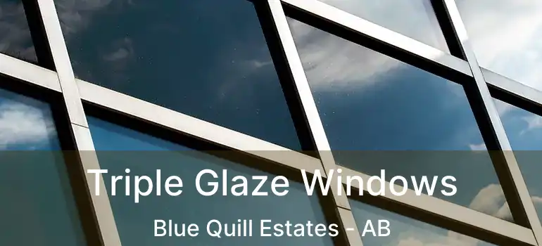  Triple Glaze Windows Blue Quill Estates - AB