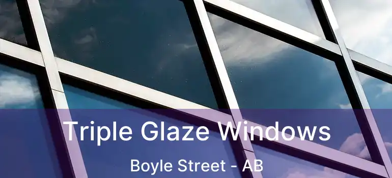  Triple Glaze Windows Boyle Street - AB