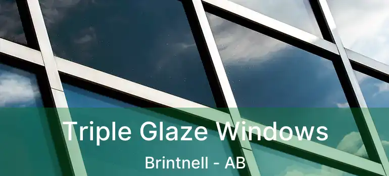  Triple Glaze Windows Brintnell - AB