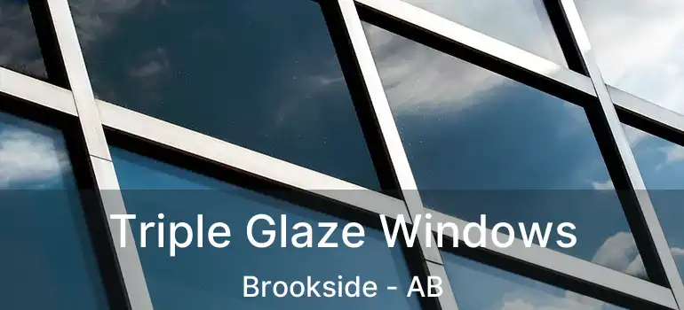 Triple Glaze Windows Brookside - AB