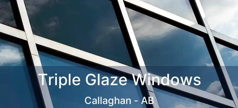  Triple Glaze Windows Callaghan - AB