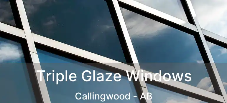  Triple Glaze Windows Callingwood - AB