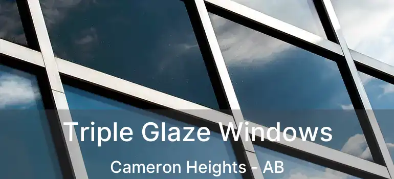  Triple Glaze Windows Cameron Heights - AB