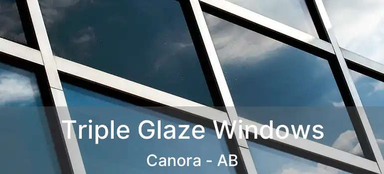  Triple Glaze Windows Canora - AB