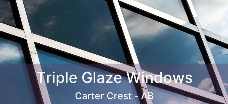  Triple Glaze Windows Carter Crest - AB