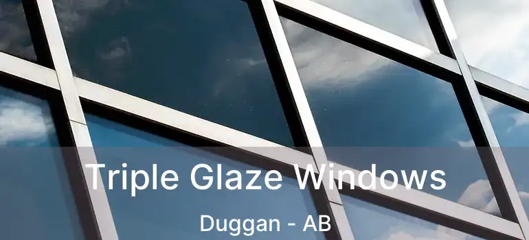  Triple Glaze Windows Duggan - AB