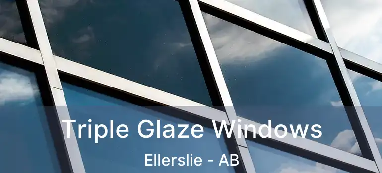  Triple Glaze Windows Ellerslie - AB
