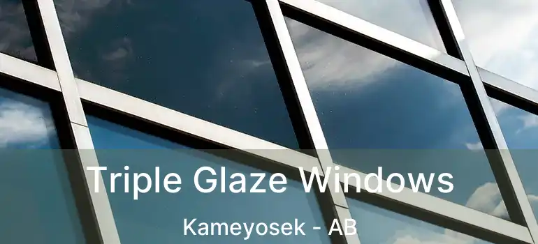  Triple Glaze Windows Kameyosek - AB