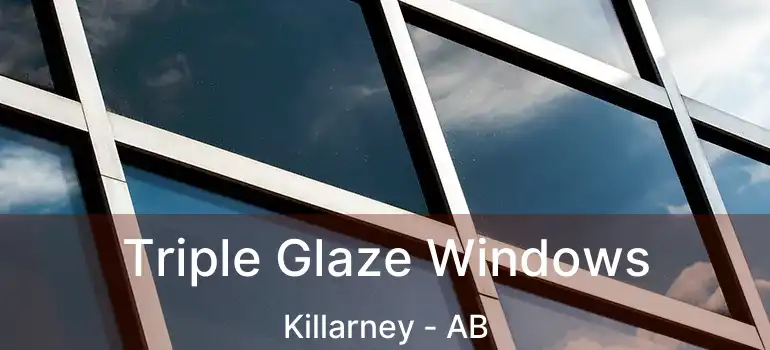  Triple Glaze Windows Killarney - AB